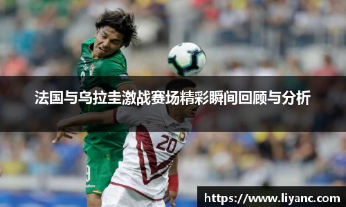 新利体育